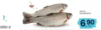 TROTA SALMONATA