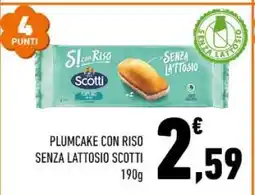 Conad PLUMCAKE CON RISO SENZA LATTOSIO SCOTTI offerta
