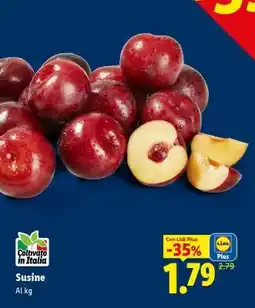Lidl Susine offerta
