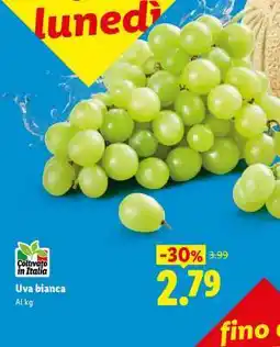 Lidl Uva Bianca offerta