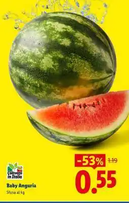 Lidl Baby Anguria offerta