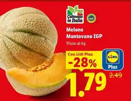 Lidl MELONE MANTOVANO IGP offerta