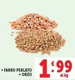 Deco Supermercati FARRO PERLATO ORZO offerta