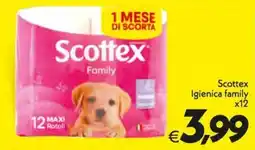 Iper Super Conveniente Scottex Igienica family offerta