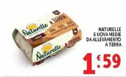 Deco Supermercati Naturelle A TERRA offerta