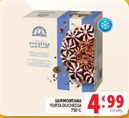 Deco Supermercati Sammontana Torta Duchessa offerta