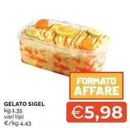 Mercatò GELATO SIGEL offerta