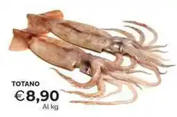 Mercatò TOTANO offerta