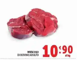 Deco Superstore MUSCOLO DI BOVINO ADULTO offerta