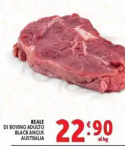 Deco Superstore REALE DI BOVINO ADULTO BLACK ANGUS AUSTRALIA offerta