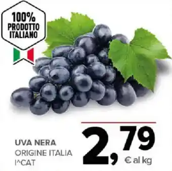Todis UVA NERA offerta