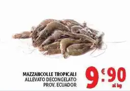 Deco Superstore MAZZANCOLLE TROPICALI offerta