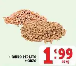 Deco Superstore FARRO PERLATO ORZO offerta