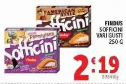 Deco Superstore Sofficini FINDUS offerta
