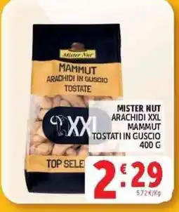 Deco Market Mister Nut Arachidi in guscio tostate offerta