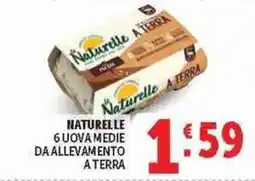 Deco Superstore Naturelle Uova Medie offerta