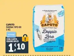 Deco Superstore CAPUTO FARINA TIPO 00 offerta