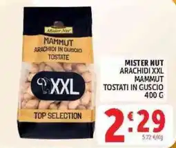 Deco Superstore MISTER NUT ARACHIDI XXL MAMMUT offerta