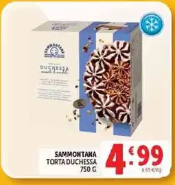 Deco Superstore Sammontana Torta Duchessa offerta