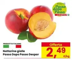 Eurospar Nettarine gialle Passo Dopo Passo Despar offerta