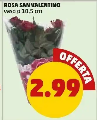 PENNY Rosa san valentino offerta