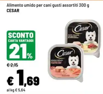 Iper La Grande Alimento umido per cani gusti assortiti CESAR offerta