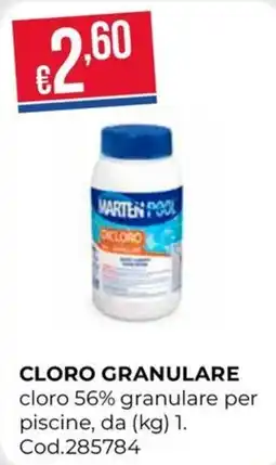 Pronto Hobby MARTEN POOL CLORO offerta