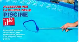 Pronto Hobby Accessori per la pulizia delle piscine offerta