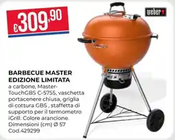Pronto Hobby BARBECUE MASTER EDIZIONE LIMITATA offerta
