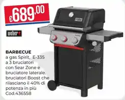 Pronto Hobby weber BARBECUE offerta