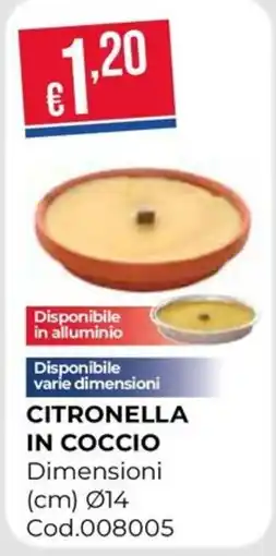 Pronto Hobby CITRONELLA IN COCCIO offerta