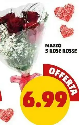 PENNY Mazzo 5 rose rosse offerta
