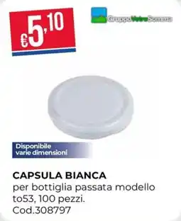 Pronto Hobby CAPSULA BIANCA offerta