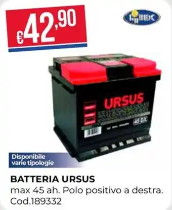 Pronto Hobby BATTERIA URSUS offerta