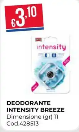 Pronto Hobby DEODORANTE INTENSITY BREEZE offerta