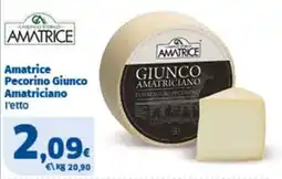 Sigma Amatrice Pecorino Giunco Amatriciano offerta