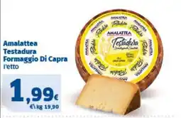 Sigma Amalattea Testadura Formaggio Di Capra offerta