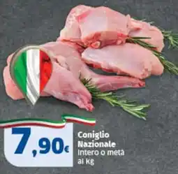 Sigma Coniglio Nazionale offerta