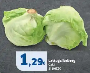 Sigma Lattuga Iceberg offerta