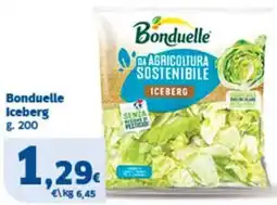 Sigma Bonduelle Iceberg offerta