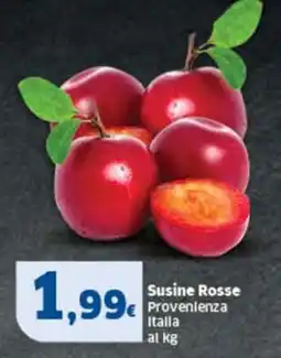 Sigma Susine Rosse offerta