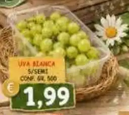 MercADone UVA BIANCA offerta