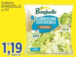 Market Ingross Iceberg BONDUELLLE offerta