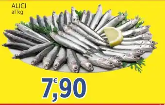 Market Ingross ALICI offerta