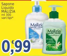 Market Ingross Sapone Liquido MALIZIA offerta