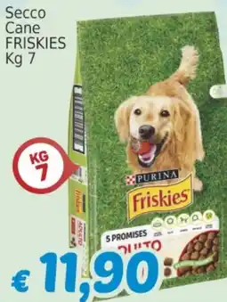 Market Ingross Secco Cane FRISKIES offerta