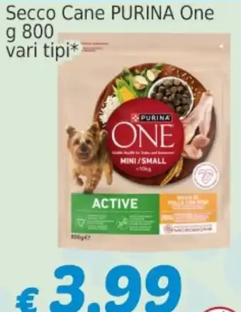 Market Ingross Secco Cane PURINA One offerta