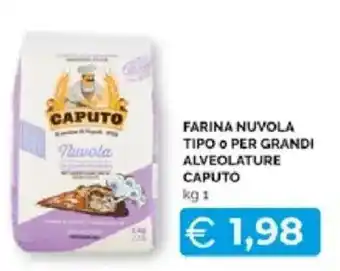 Farina Nuvola Tipo 0 Per Grandi Alveolature Caputo