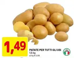 DPiù PATATE PER TUTTI GLI USI offerta