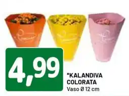 DPiù Kalandiva Colorata offerta
